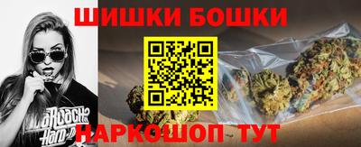 СК Обь