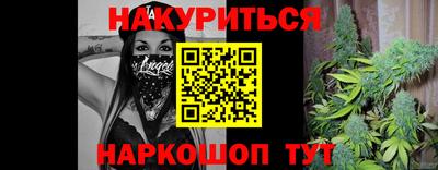 СК Обь