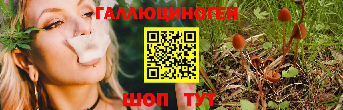 Галлюциногенные грибы Magic Shrooms Нижневартовск